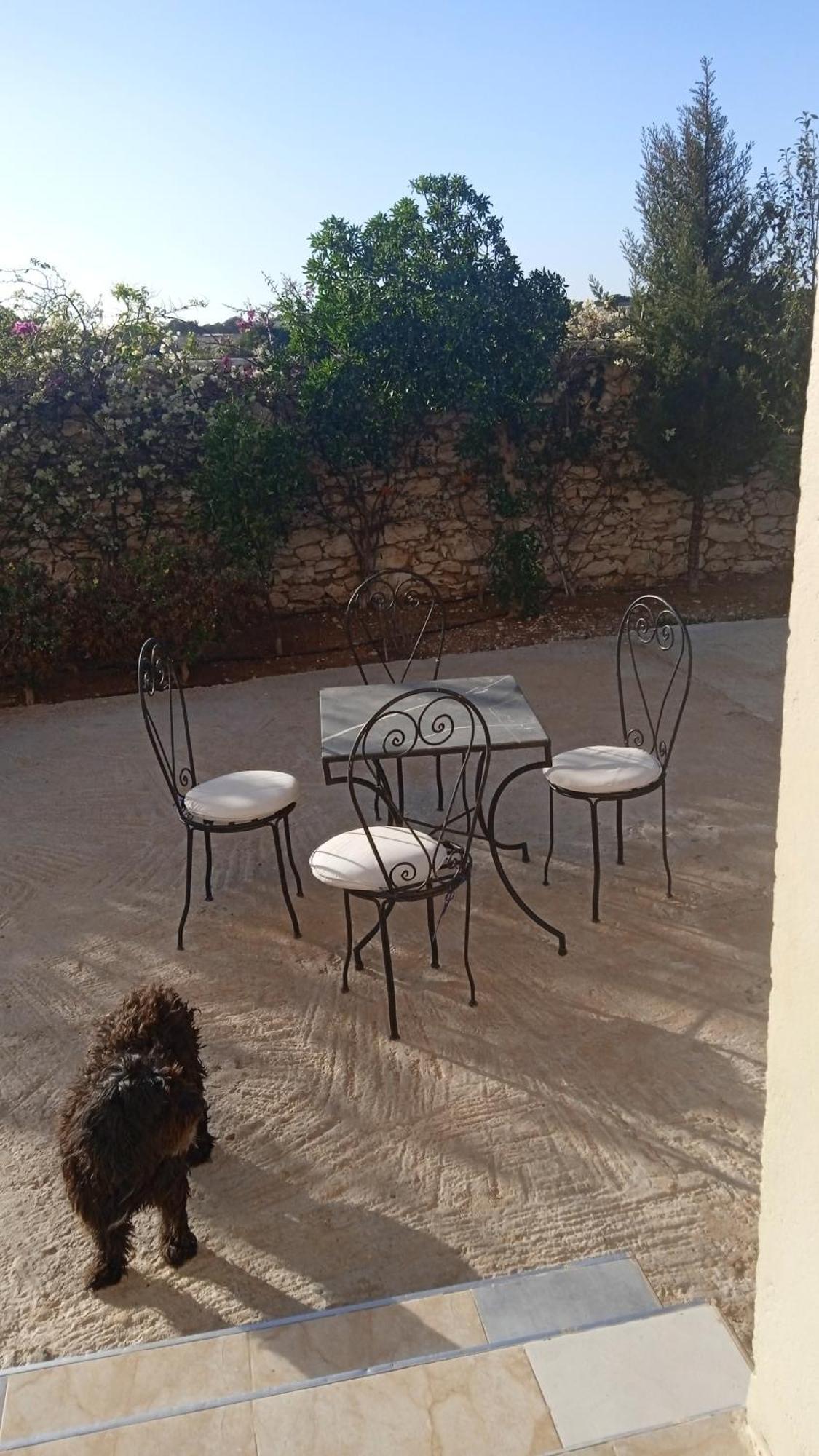 Villa Rabia Sidi Kaouki Exteriér fotografie